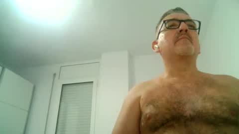 Snapshot of apixaba chatting on 09-16-25, 08:43 furry bear online show from 09-16-25, 08:43