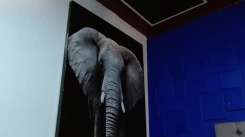 Apolo online show from 02-11-25, 08:48