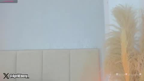 Snapshot of april_ebony18_ chatting on 06-06-26, 10:53 April online show from 06-06-26, 10:53