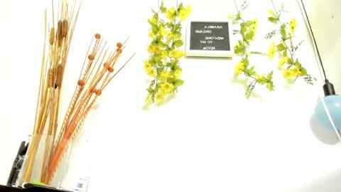 ARABELA online show from 01-19-25, 01:21