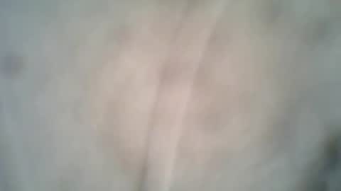 olo online show from 10-08-25, 06:38