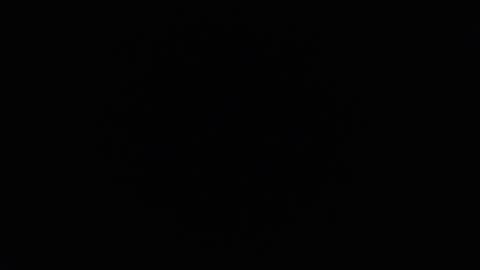 Snapshot of ares_xxxx chatting on 12-06-24, 11:44 ARES online show from 12-06-24, 11:44