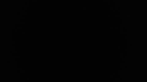 Snapshot of ares_xxxx chatting on 02-10-25, 12:08 ARES online show from 02-10-25, 12:08