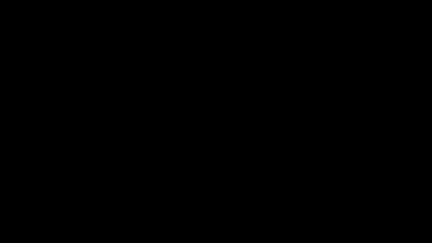 Snapshot of ares_xxxx chatting on 02-21-25, 12:39 ARES online show from 02-21-25, 12:39