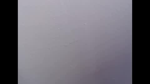 Snapshot of ariannaloovel chatting on 04-27-26, 05:55 ariannaloovel online show from 04-27-26, 05:55