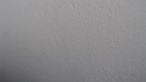 Snapshot of ariannaloovel chatting on 05-27-26, 03:09 ariannaloovel online show from 05-27-26, 03:09