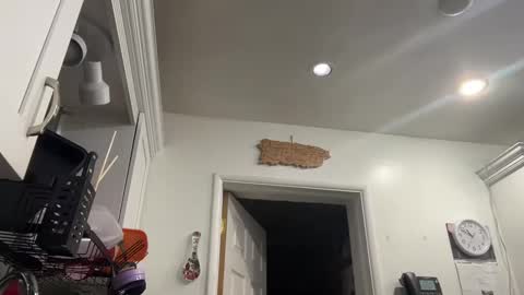 Snapshot of ariawestlove chatting on 01-08-25, 03:51 Aria online show from 01-08-25, 03:51