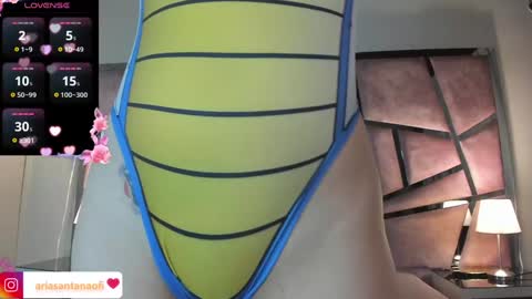 Aria online show from 12-28-24, 11:09