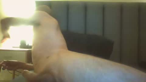 Snapshot of arnoldmir chatting on 07-12-26, 08:22 Arnoldmir online show from 07-12-26, 08:22