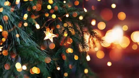 Snapshot of artanm2 chatting on 12-23-24, 06:16 natra online show from 12-23-24, 06:16