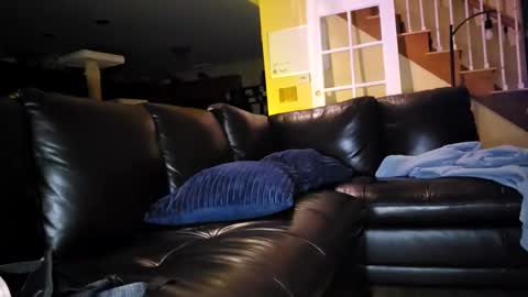 Artie Paints online show from 01-18-25, 03:42