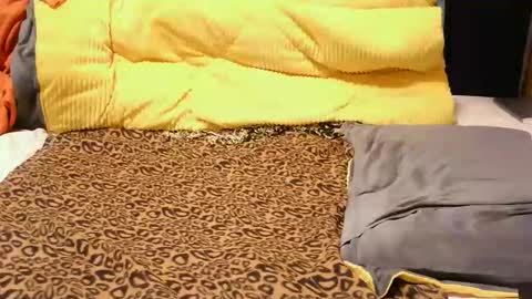 Snapshot of ashlery_ chatting on 11-17-25, 04:18 ashlery online show from 11-17-25, 04:18