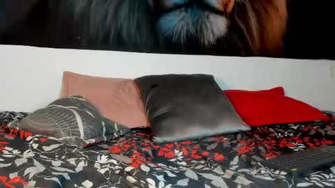 Snapshot of ashley_girl_queen chatting on 06-24-26, 03:00 ashley_girl_queen online show from 06-24-26, 03:00