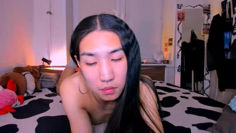 asiancvnt online show from 04-14-26, 08:26