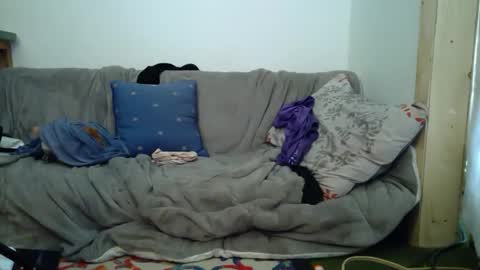 Snapshot of aspiringturtlegirl chatting on 02-16-26, 08:49 aspiringturtlegirl online show from 02-16-26, 08:49