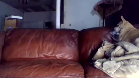 Tell me spread and Ill spread online show from 12-15-25, 01:43