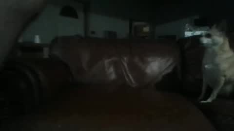 Snapshot of assholeslut9000 chatting on 06-02-26, 04:03 Tell me spread and Ill spread online show from 06-02-26, 04:03