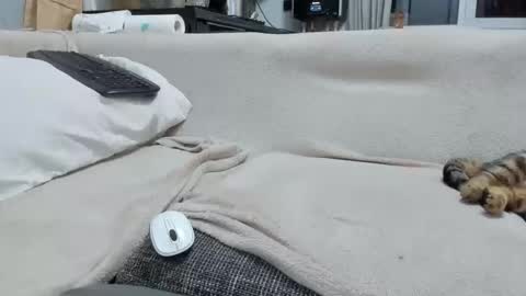 Snapshot of asshunnter chatting on 12-02-25, 04:57 MARCO online show from 12-02-25, 04:57