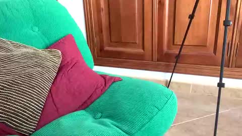 Snapshot of aurerex chatting on 11-07-25, 11:54 aurerex online show from 11-07-25, 11:54