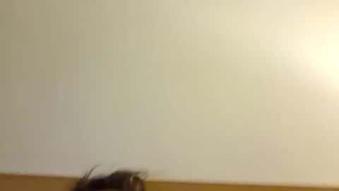 Snapshot of aussie_dadbod6969 chatting on 05-03-26, 01:44 aussie_dadbod6969 online show from 05-03-26, 01:44