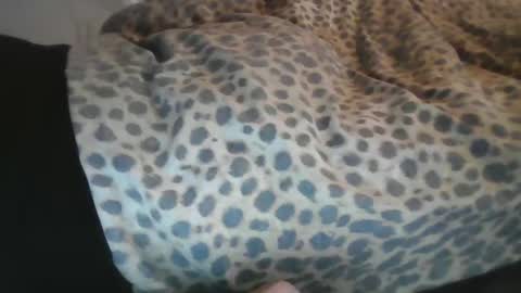 Snapshot of aussiecockpumper76 chatting on 03-04-25, 05:21 Aussiecockpumper76 online show from 03-04-25, 05:21