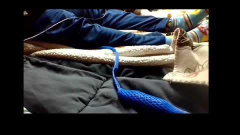 Snapshot of automaticmechanic chatting on 12-04-24, 04:38 Senior Agua online show from 12-04-24, 04:38