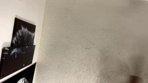 Lily  Orion online show from 02-05-25, 01:37