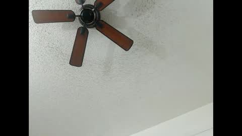 Lily  Orion online show from 02-13-25, 01:19