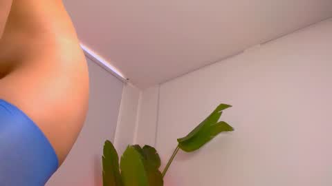 Hi im aqua is nice with me online show from 03-06-26, 08:27