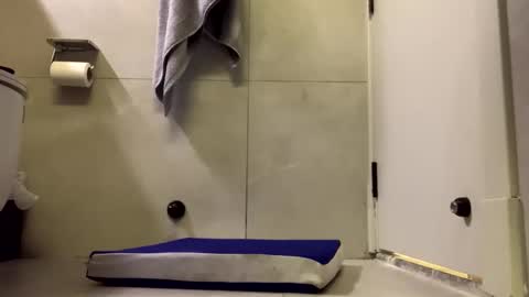 Snapshot of awardy3211 chatting on 03-05-26, 12:39 awardy3211 online show from 03-05-26, 12:39