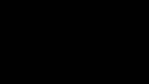 Axell Cross2 online show from 11-04-25, 09:52