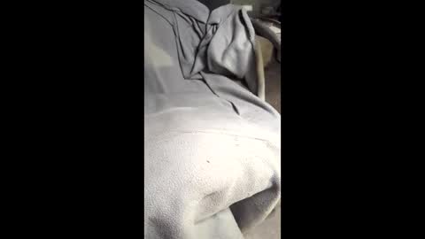 b4db0y online show from 03-07-26, 12:07