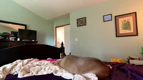 blue online show from 04-04-26, 09:45