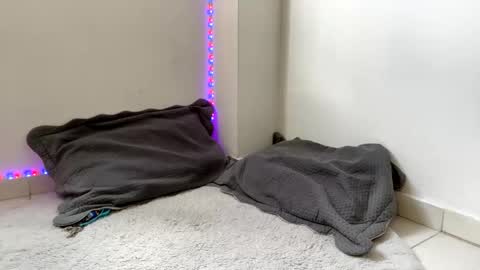 Snapshot of babycrazy24love chatting on 03-02-25, 05:47 babycrazy24love online show from 03-02-25, 05:47