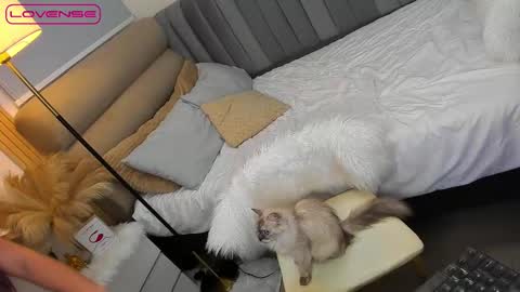 ASK ME IN PM online show from 10-27-25, 01:48