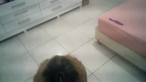 babyluna16 online show from 10-04-25, 06:06