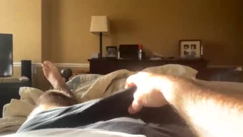 Backbay90 online show from 12-31-24, 02:03