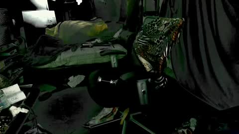 baddaddy215 online show from 12-09-24, 09:28