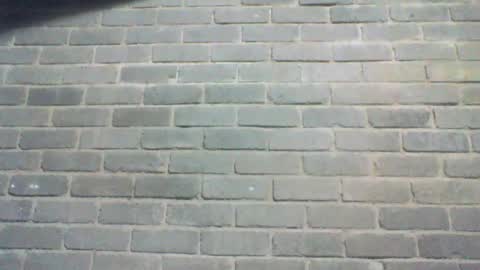 Snapshot of baielekker81578 chatting on 07-16-26, 08:31 Chaterlain online show from 07-16-26, 08:31