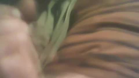 Snapshot of bandapart chatting on 09-08-25, 05:01 bandapart online show from 09-08-25, 05:01