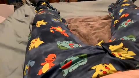 bandman862 online show from 01-23-25, 12:25