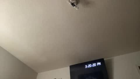 Snapshot of bankofchell chatting on 03-25-26, 07:20 Chelly online show from 03-25-26, 07:20