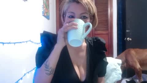 Snapshot of barbiemature chatting on 05-28-26, 09:06 barbiemature online show from 05-28-26, 09:06