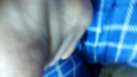 barbitall online show from 11-15-25, 03:08