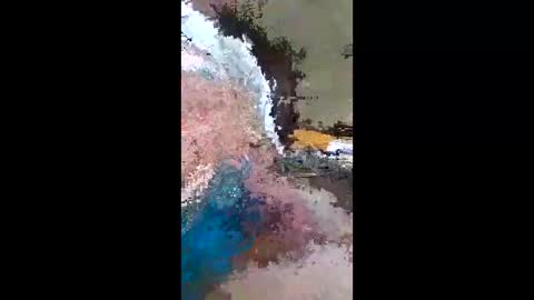 barbitall online show from 01-13-26, 08:03