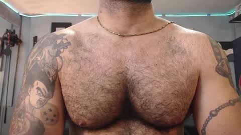 bardock online show from 02-01-25, 09:51