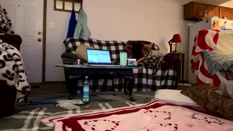 barelybehavedbarbie online show from 04-23-26, 07:52