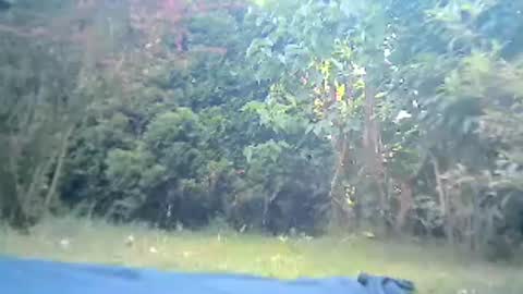 Snapshot of bartbartek chatting on 07-19-26, 05:55 bartbartek online show from 07-19-26, 05:55