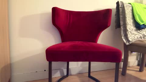 Snapshot of batestallion9x6 chatting on 01-19-26, 11:14 Batestallion9x6 online show from 01-19-26, 11:14