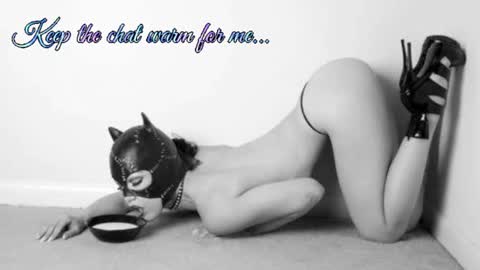 Your always sexy Harley online show from 07-08-26, 08:19